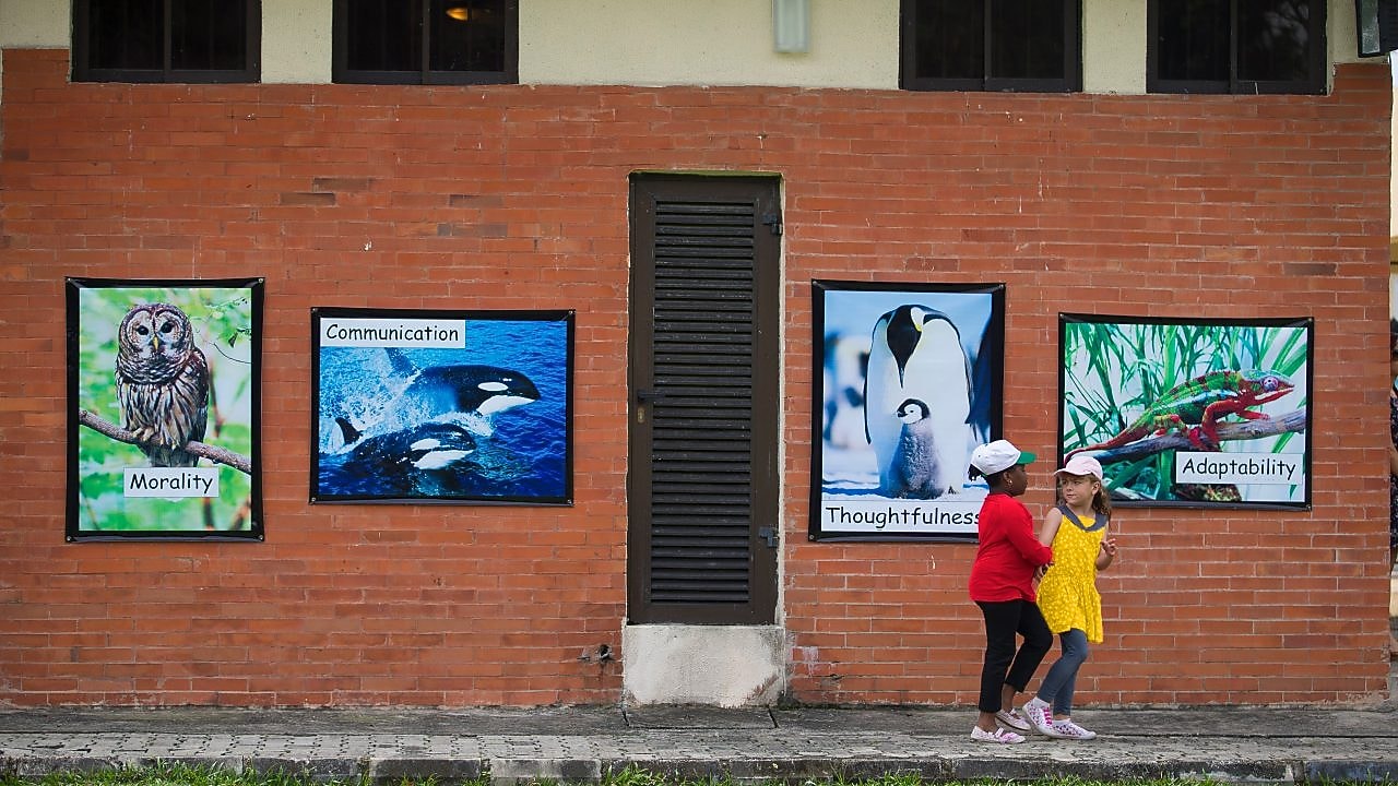 Children outside of school building