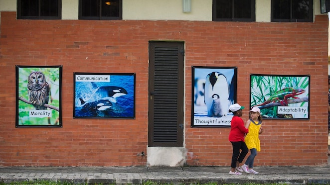 Children outside of school building