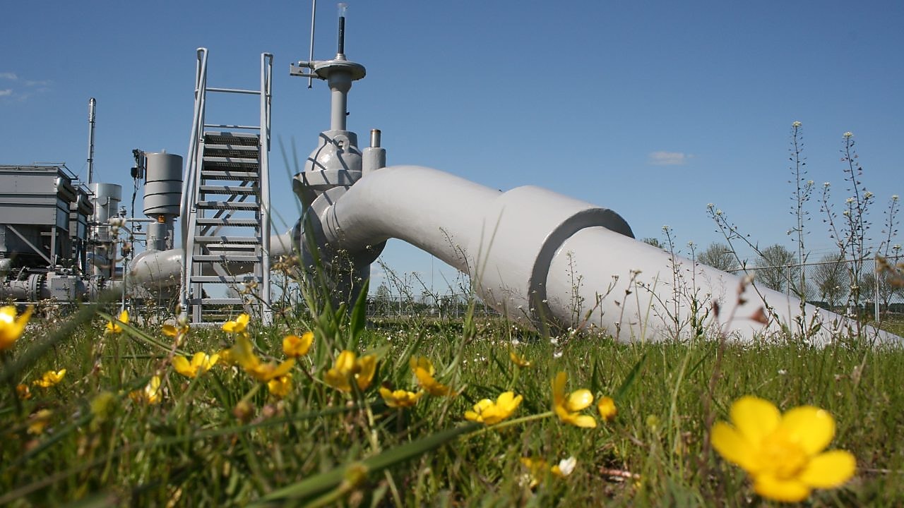 Distribution network