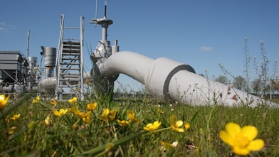 Distribution network