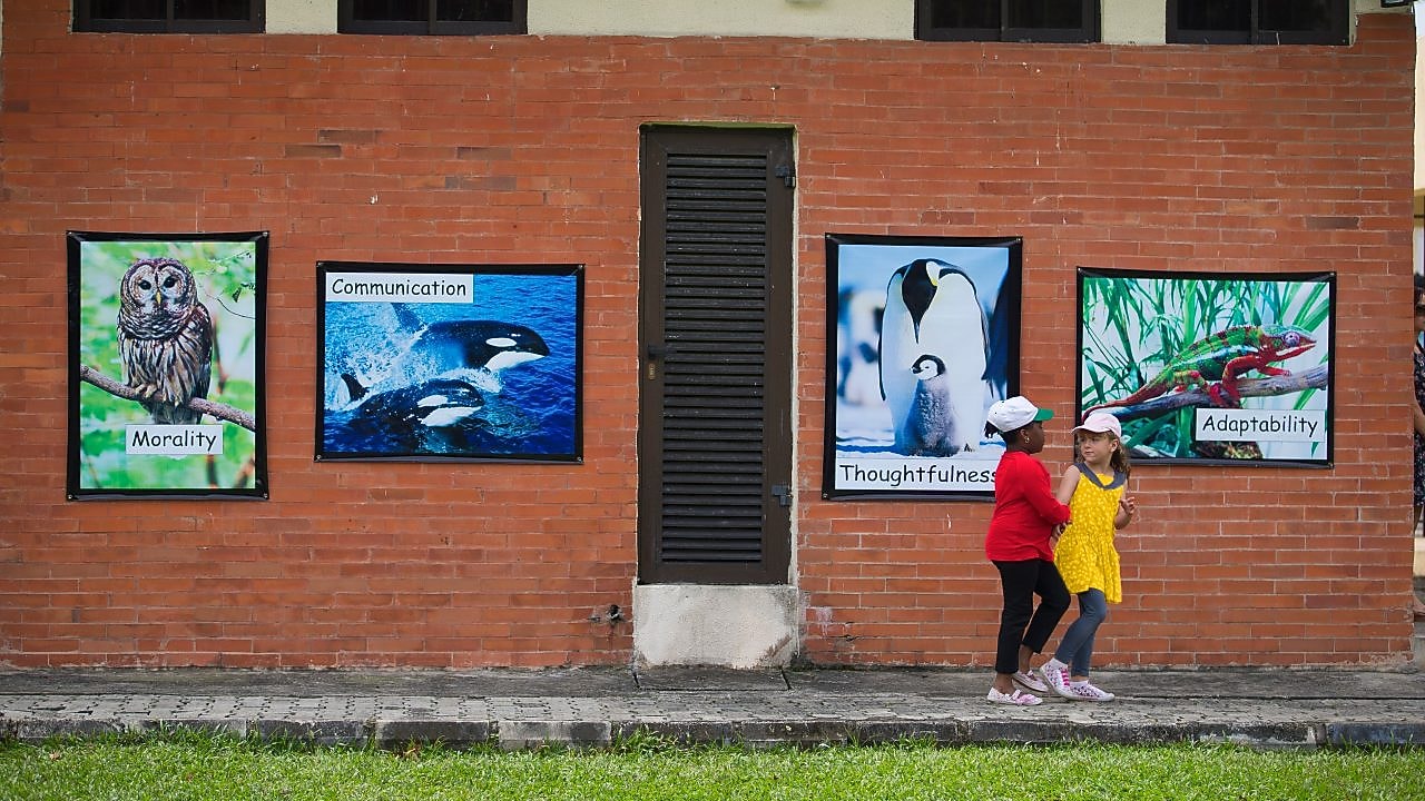 Kindergarten in the Donglian resettlement village